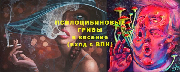 ГАЛЛЮЦИНОГЕННЫЕ ГРИБЫ Абдулино